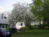Im000407.jpg (141740 bytes)