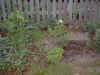 Im000417.jpg (146480 bytes)